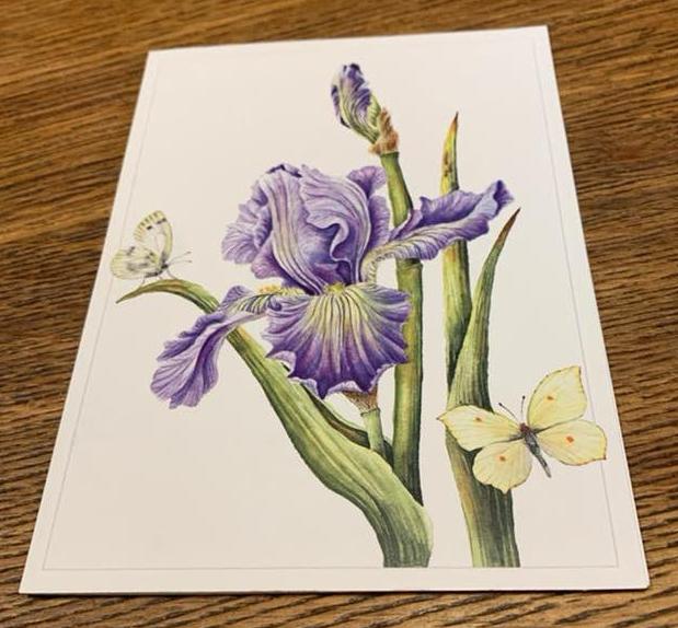 Janneke brinkman, iris germanica, dubbele kaart, Diversen, Ophalen of Verzenden, Zo goed als nieuw