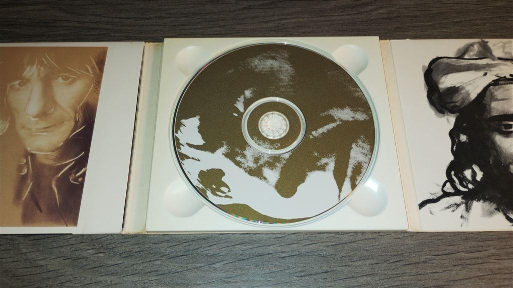 Ron Wood ‎- Slide On This [Digipack Italie], Ophalen of Verzenden, Zo goed als nieuw, Poprock