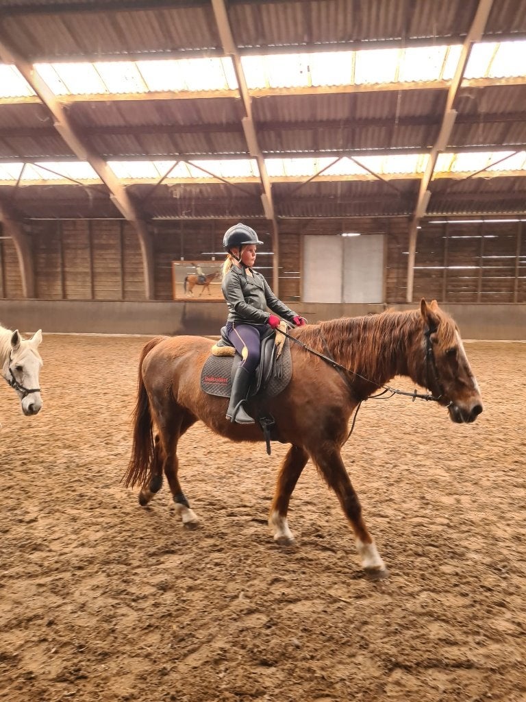 Verzorg paard gezocht!, Ophalen of Verzenden