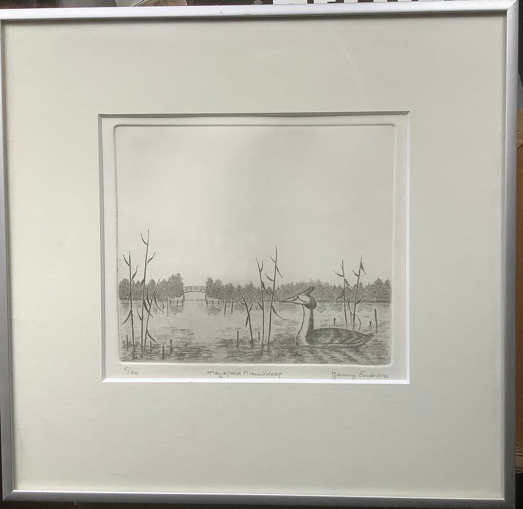 Nieuwkoop, natuur, water, Fuut, vogel, Janny Endstra, ets,, Antiek en Kunst, Kunst | Etsen en Gravures, Ophalen of Verzenden
