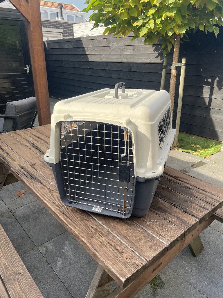 Plastic Dog Travel Carrier / Kennel Crate (Medium), Ophalen, Zo goed als nieuw
