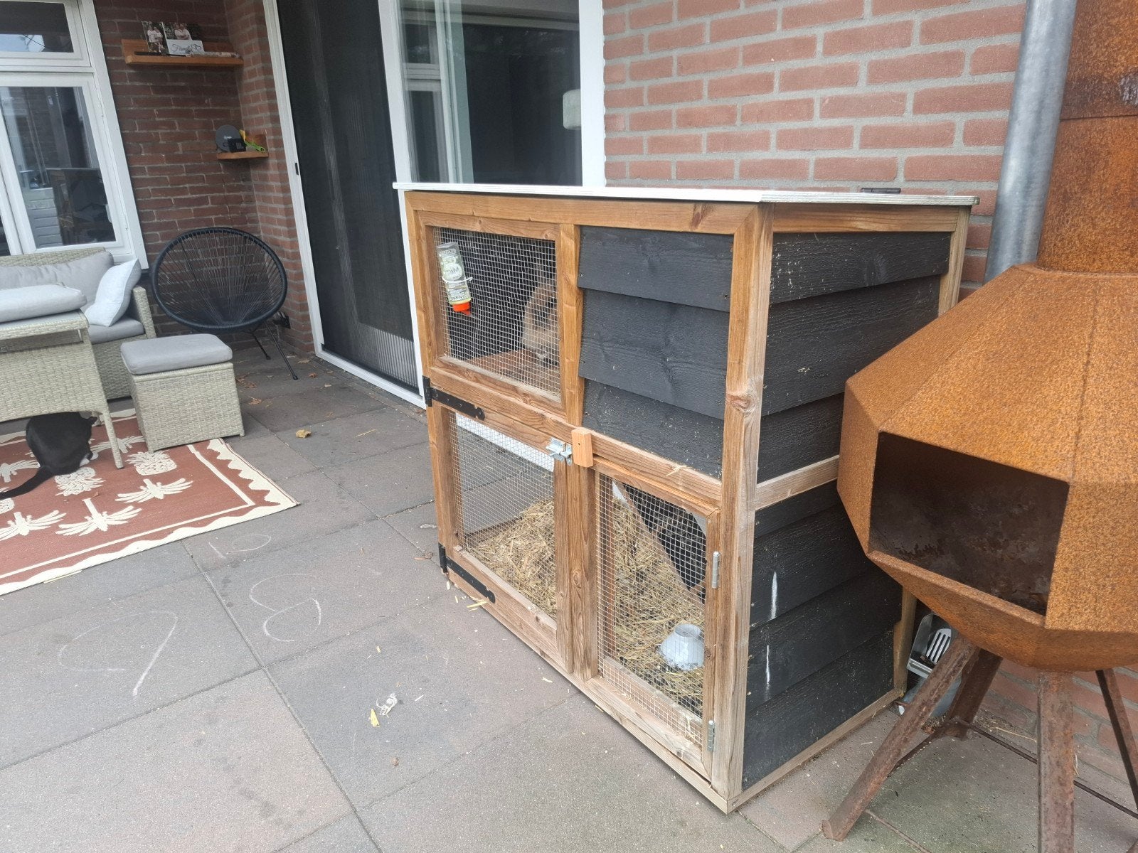 baasje gezocht voor 2 lieve konijnen, Dieren en Toebehoren, Maart, Meerdere dieren, Overige typen, Tam