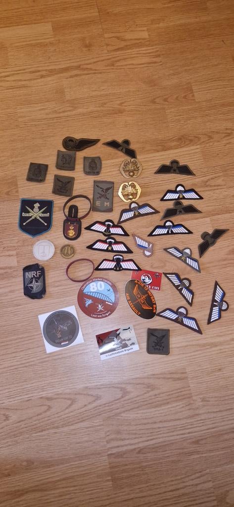 Militaire emblemen, Ophalen of Verzenden, Landmacht, Nederland, Overige typen
