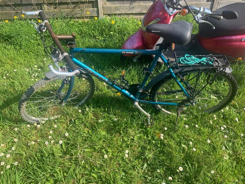 Giant GSR 100 Mountain Bike, 49 tot 53 cm, Ophalen, Gebruikt, Giant