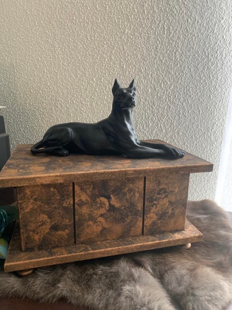 Dobermann urn incl. hondenbeeld als set of als los beeld, Dieren en Toebehoren, Ophalen of Verzenden, Nieuw