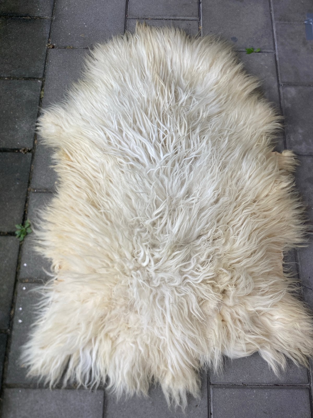 Marokkaanse schapenvacht – langharig, Gebruikt, 100 tot 150 cm, Wit, Overige vormen