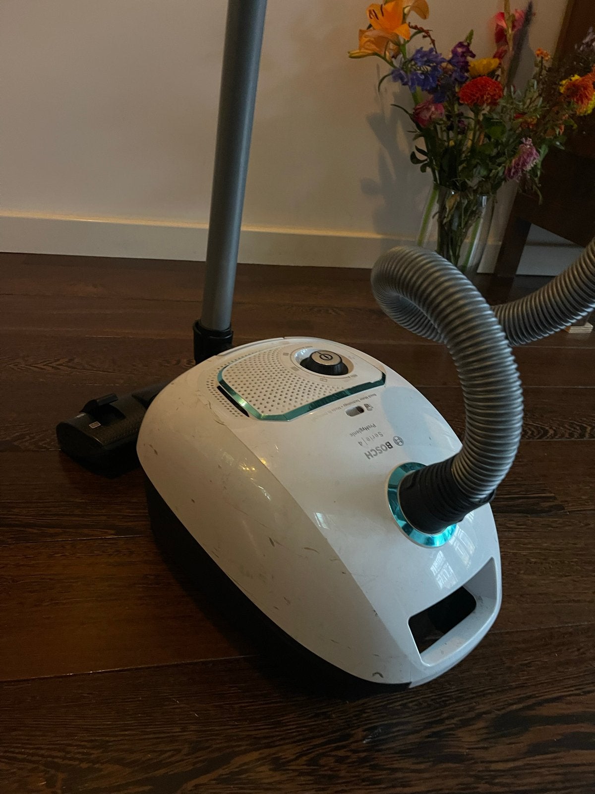 Bosch Serie 5 BGL35MOV16 Stofzuiger - Compact en Krachtig, Inclusief accessoires, Gebruikt, Bosch, Sledestofzuiger