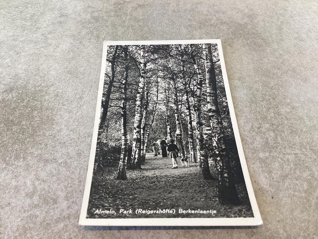 Almelo.      Park Reigershöfte     Berkenlaantje   1955, Ophalen of Verzenden, 1940 tot 1960, Overijssel