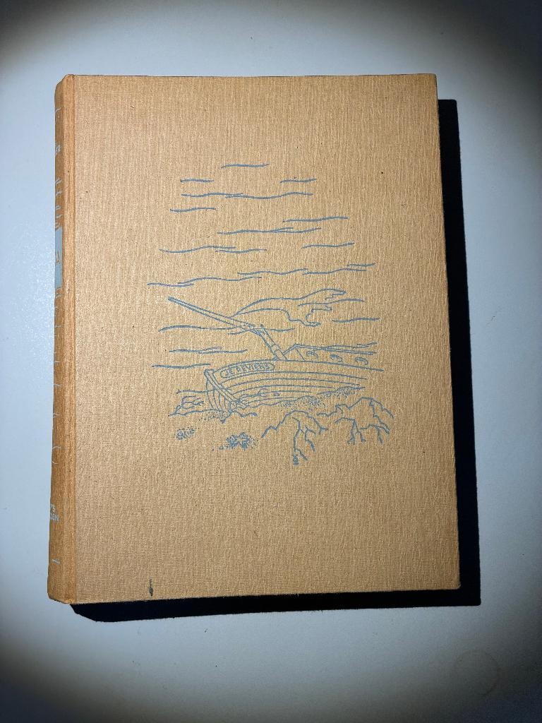 Daphne du Maurier: Rebecca, Boeken, Gelezen, Europa overig, Daphne du Maurier, Ophalen of Verzenden
