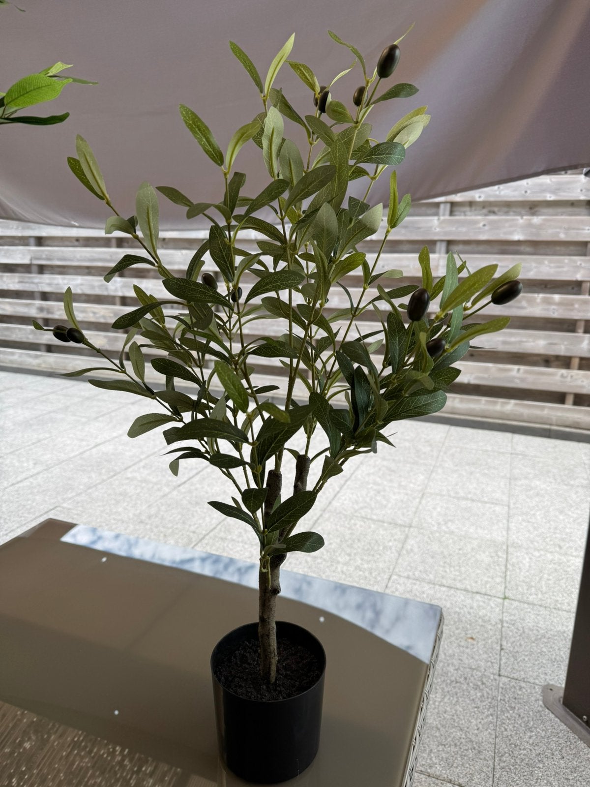 Kunstplant Olijf boom 75 cm hoog nieuw!, Ophalen, Nieuw