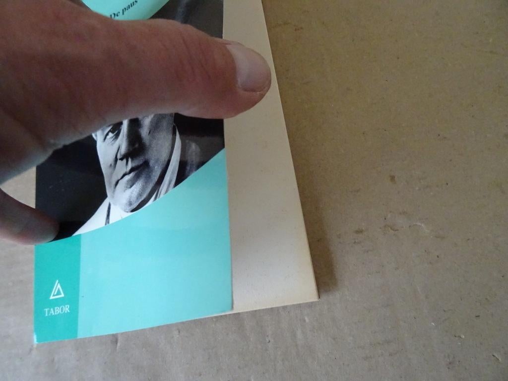 J. Hermans Pius X De paus van de eucharistie 1e druk 1984, J. Hermans, Christendom | Katholiek, Ophalen of Verzenden, Zo goed als nieuw