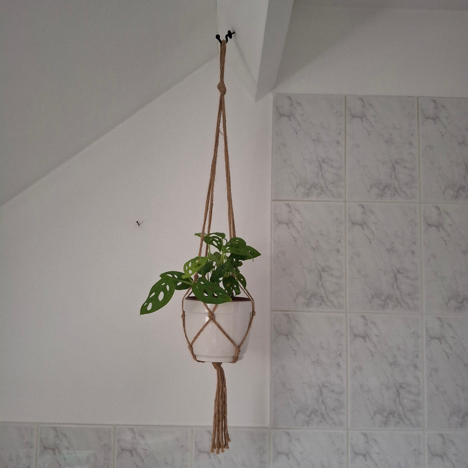 macrame hangers met pot en hangplanten, Ophalen of Verzenden, Halfschaduw, Minder dan 100 cm