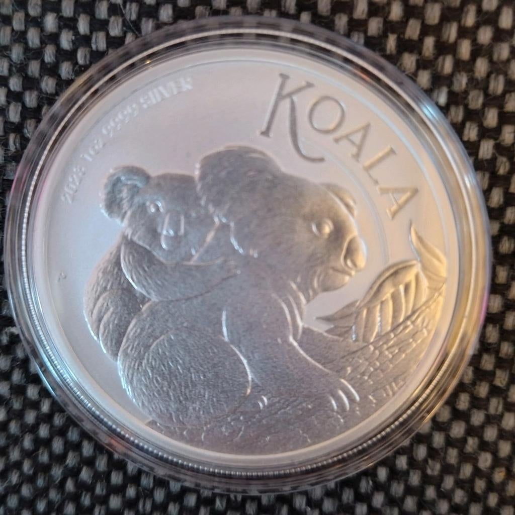 Koala 2023 1 Oz zilveren munt 1 Dollar, Ophalen of Verzenden, Zilver