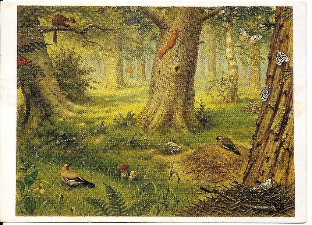 Ansichtkaart	In het bos	M.A. Koekkoek, Verzenden, 1980 tot heden, Gelopen, Natuur