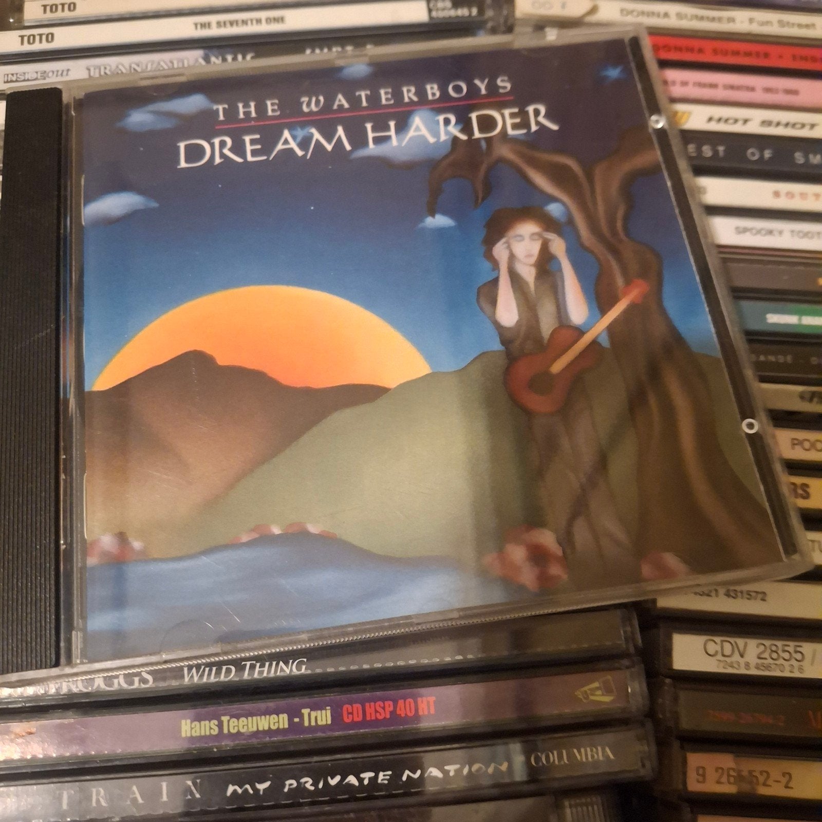 The waterboys, Cd's en Dvd's, Ophalen of Verzenden, Zo goed als nieuw