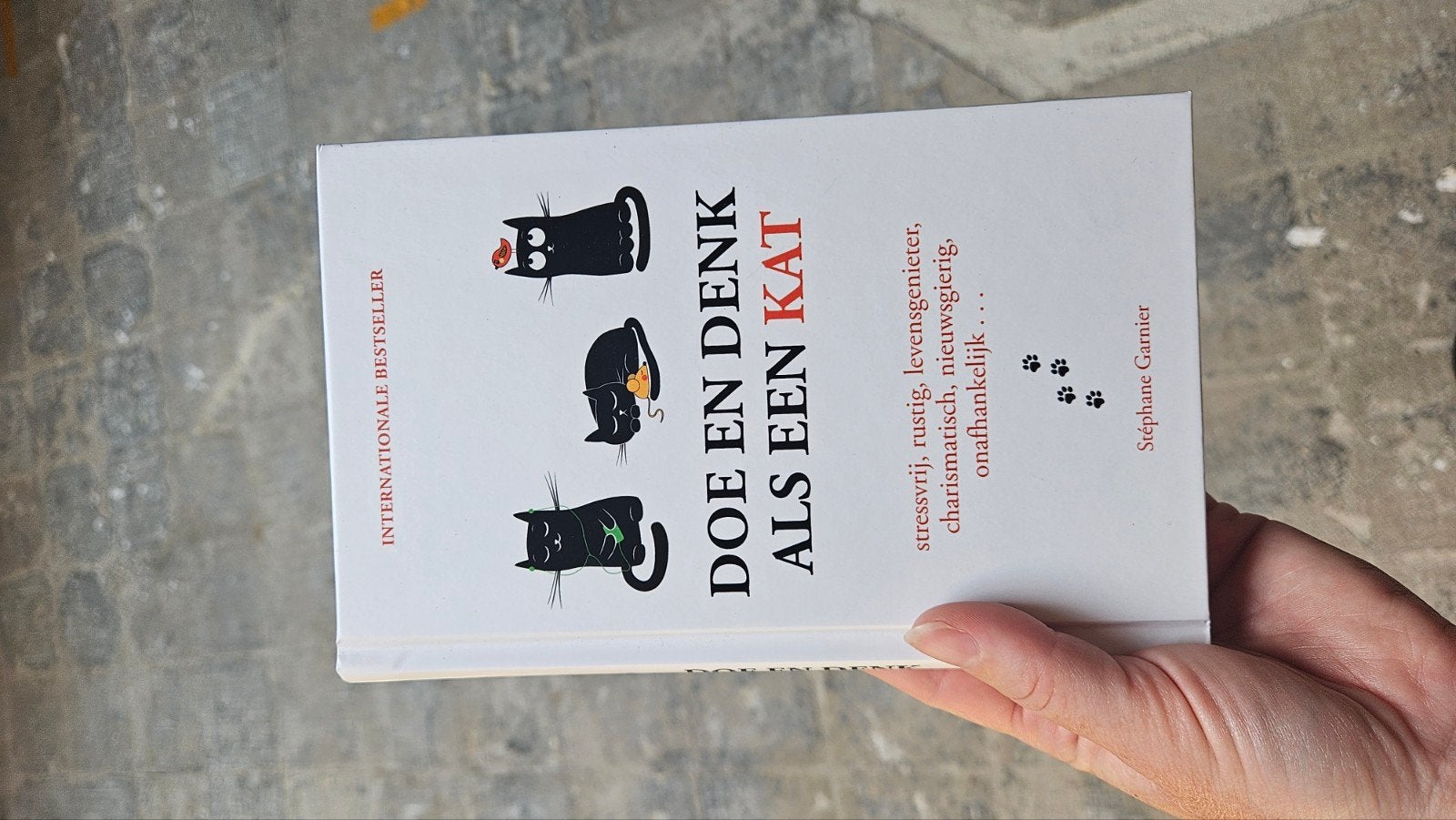 Doe en Denk als een Kat - Inspirerend Boek, Ophalen of Verzenden, Zo goed als nieuw, Stéphane Garnier, Nederland