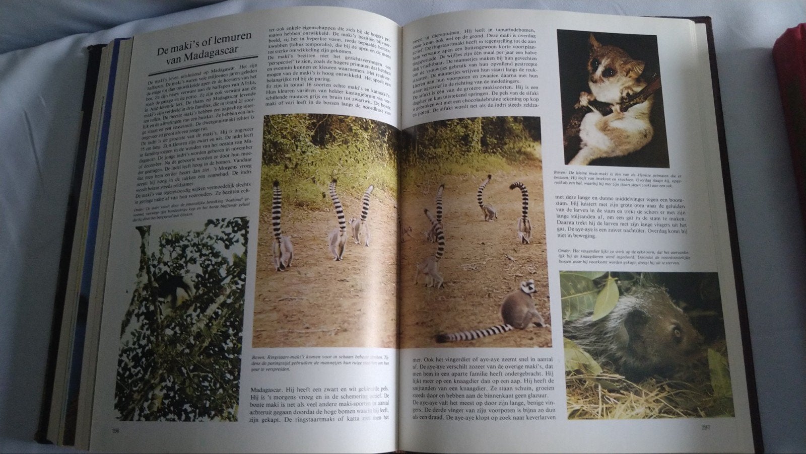 Het wonderlijke dierenrijk boek biologie zoologie universum, Boeken, Ophalen of Verzenden, Natuur algemeen