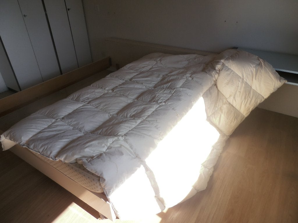 2 donzen tweepersoons dekbedden, Ophalen, Gebruikt, Wit, Dons en Veren