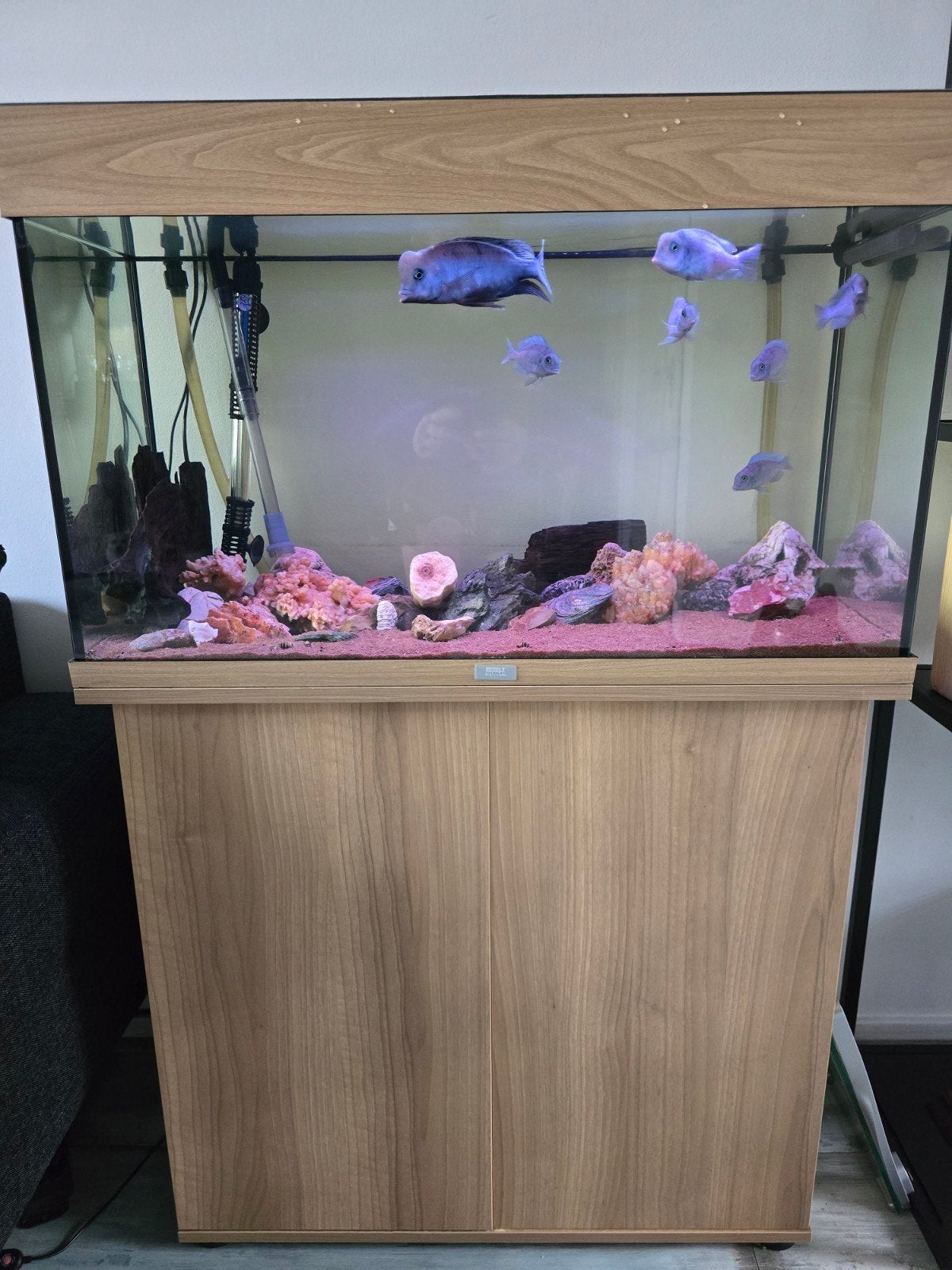juwek aqarium met tetra pomp, Ophalen of Verzenden