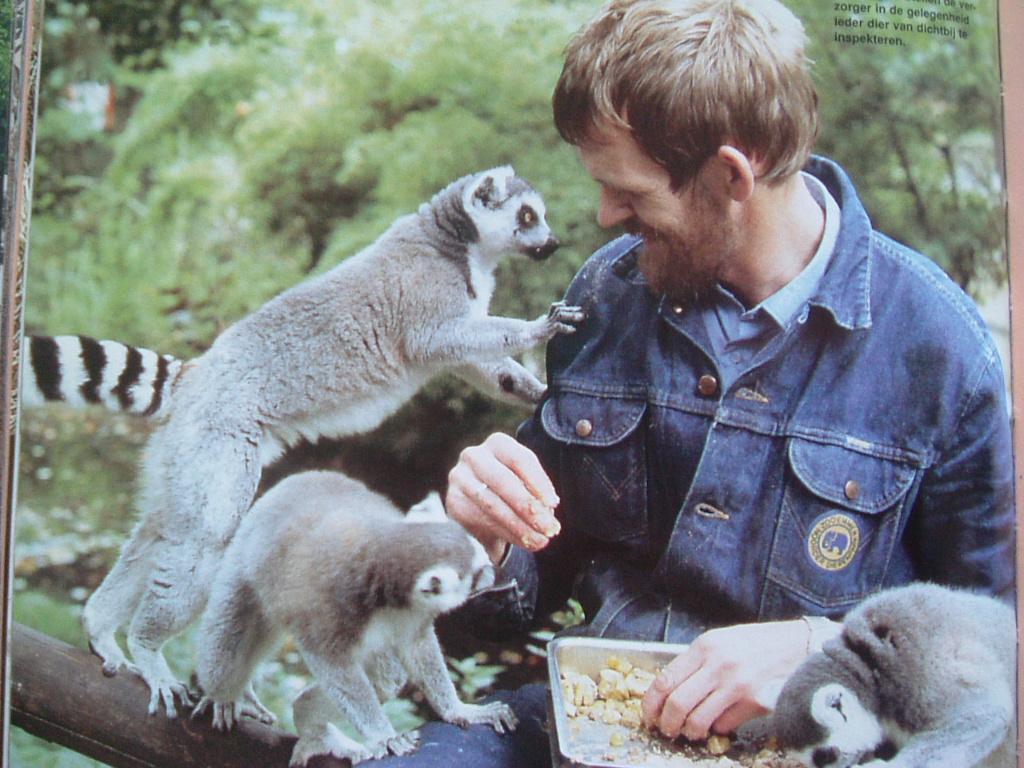 60 jaar Noorder Dierenpark., Boeken, Ophalen of Verzenden, Zo goed als nieuw, H. Hiddingh
