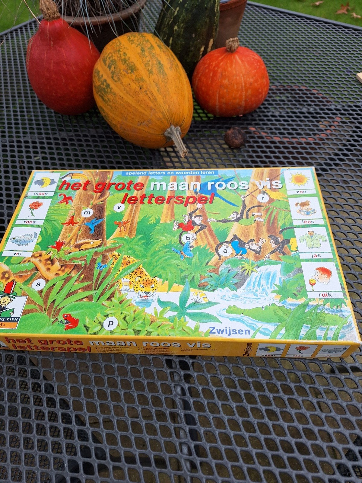 Het Grote Maan Roos Vis Letterspel - Spelend Leren, Drie of vier spelers, Ophalen, Zo goed als nieuw, Zwijsen