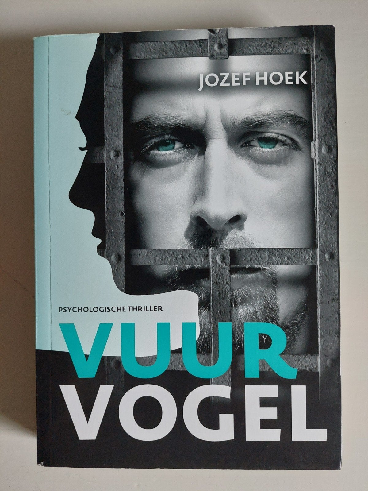 Vuurvogel - Jozef Hoek (Psychologische thriller), Ophalen of Verzenden, Zo goed als nieuw, Jozef Hoek, Nederland