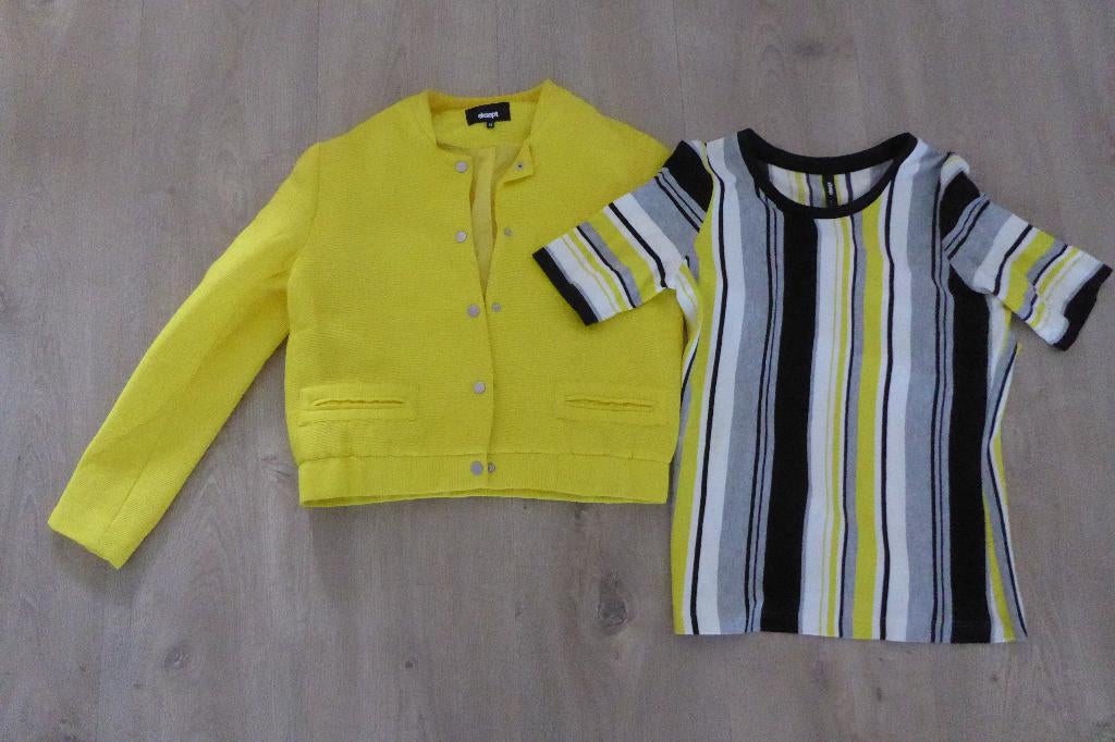 Blazer jasje geel Eksept maat M met bijpassend shirt, Maat 38/40 (M), Geel, Ophalen of Verzenden, Zo goed als nieuw