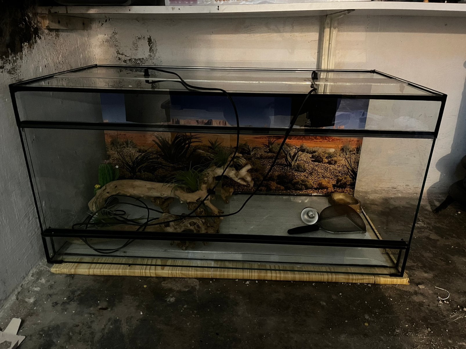 Terrarium, Ophalen, Zo goed als nieuw, Terrarium of Paludarium