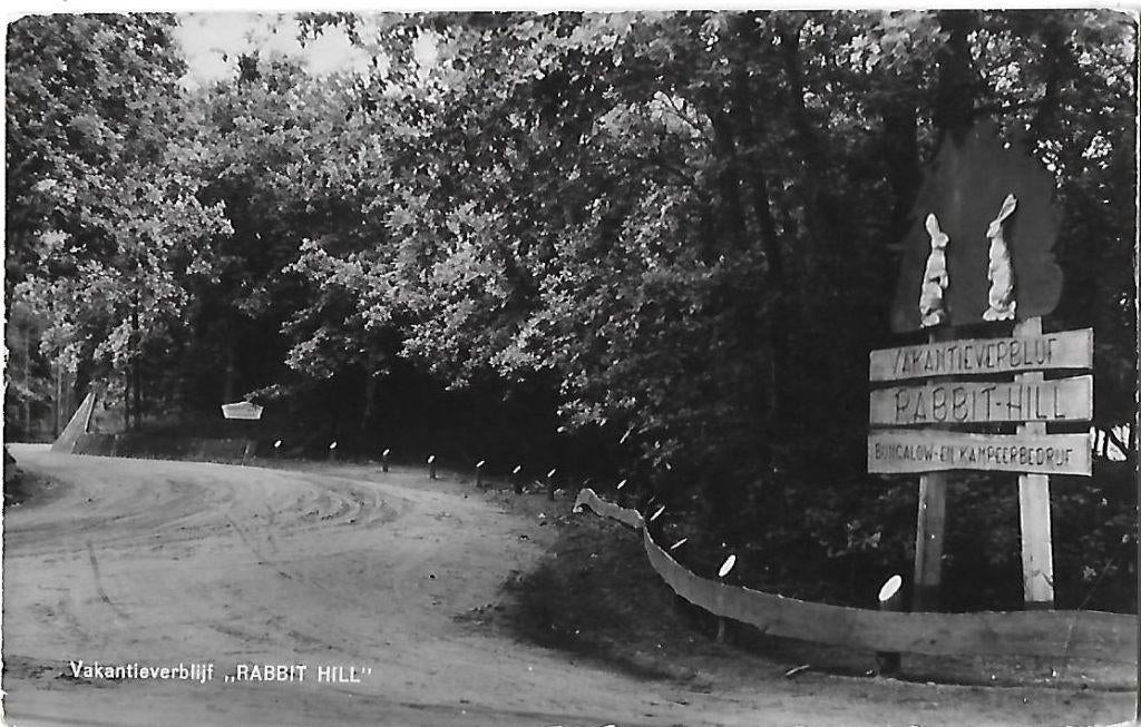 Nieuw milligen rabbit hill oude gelopen ansichtkaart ( 8255, Ophalen of Verzenden, 1920 tot 1940, Gelopen