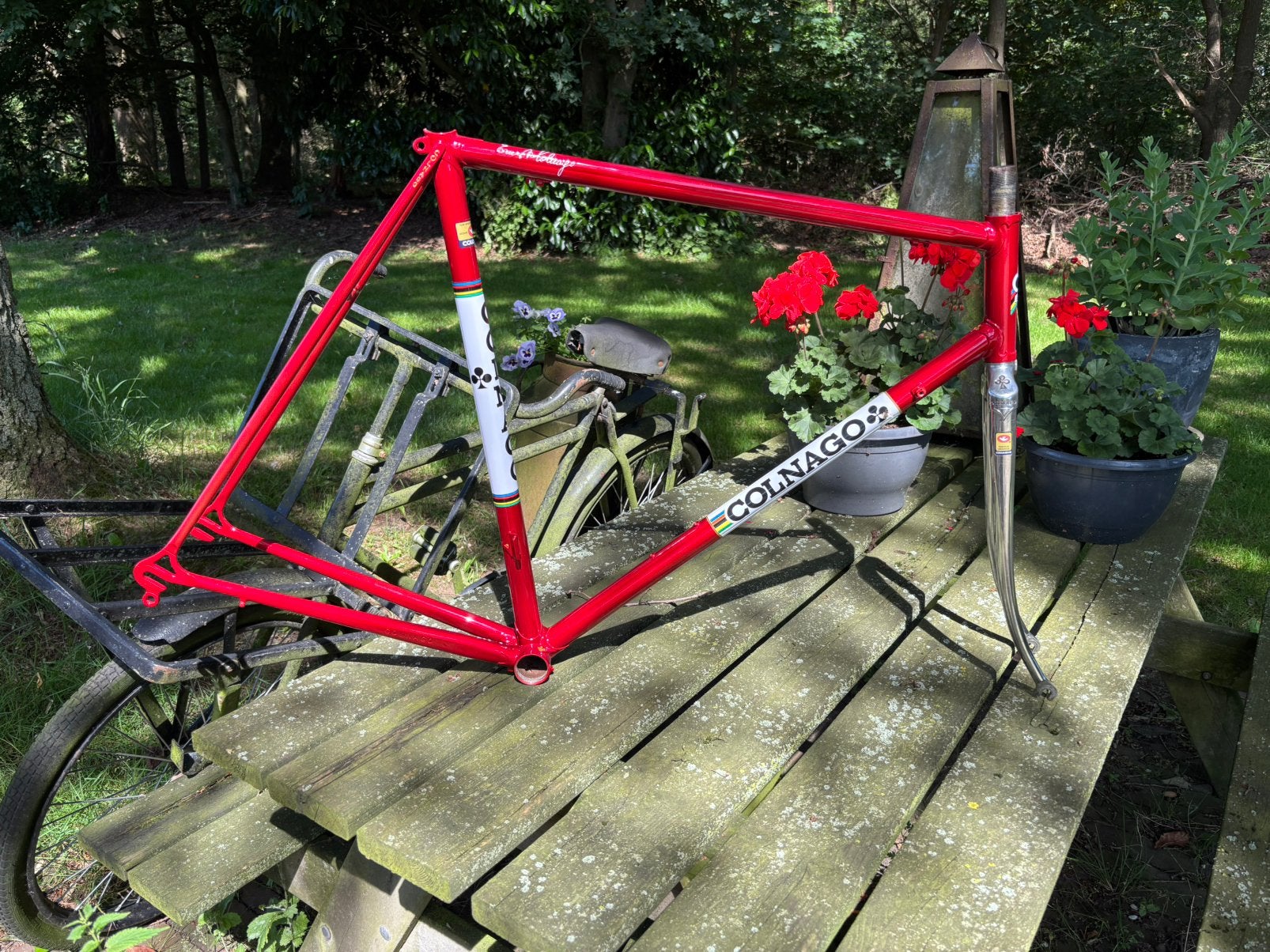 Colnago saronni, Ophalen of Verzenden, Zo goed als nieuw