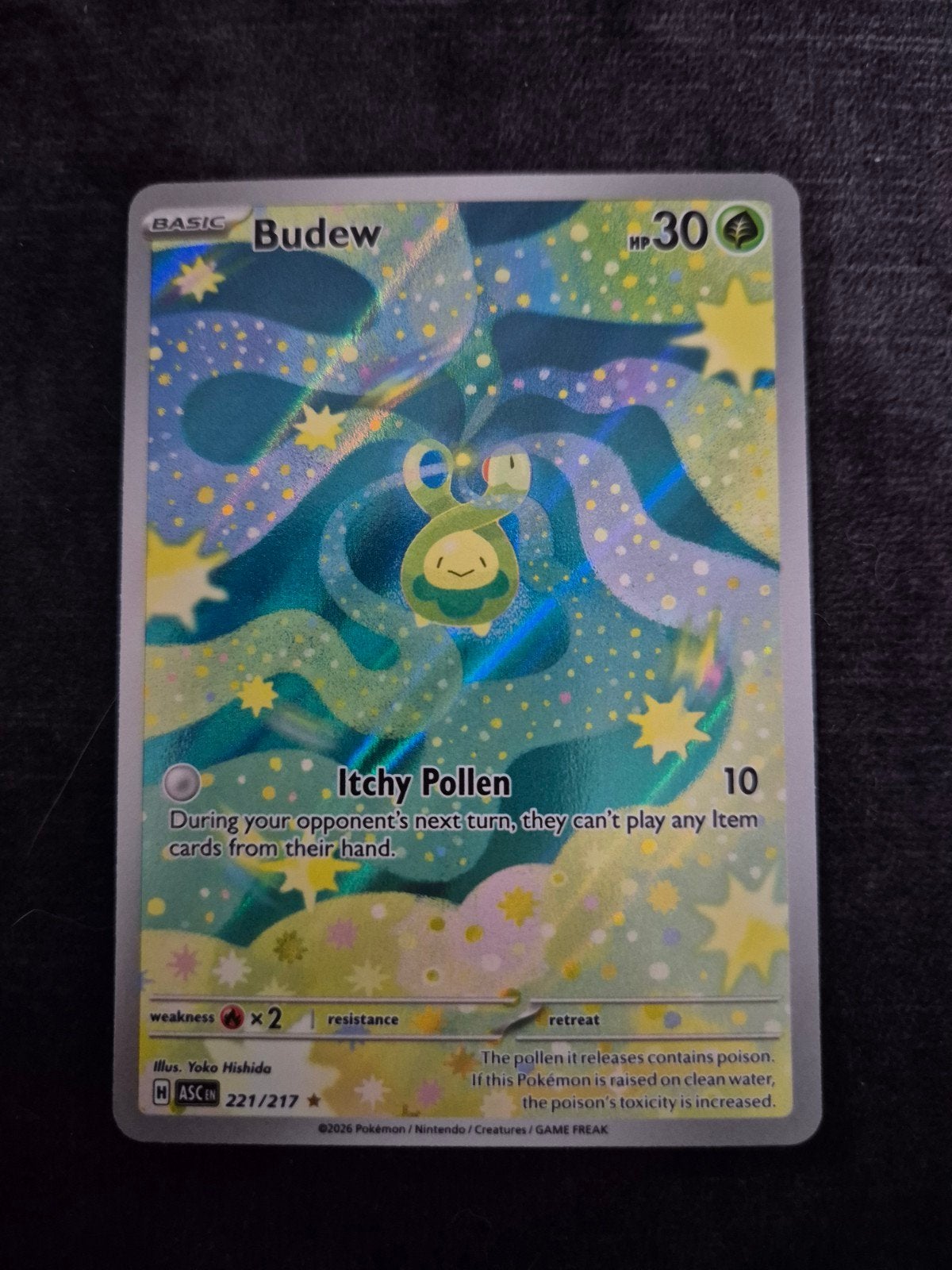 Budew 221/217, Ophalen of Verzenden, Nieuw, Losse kaart