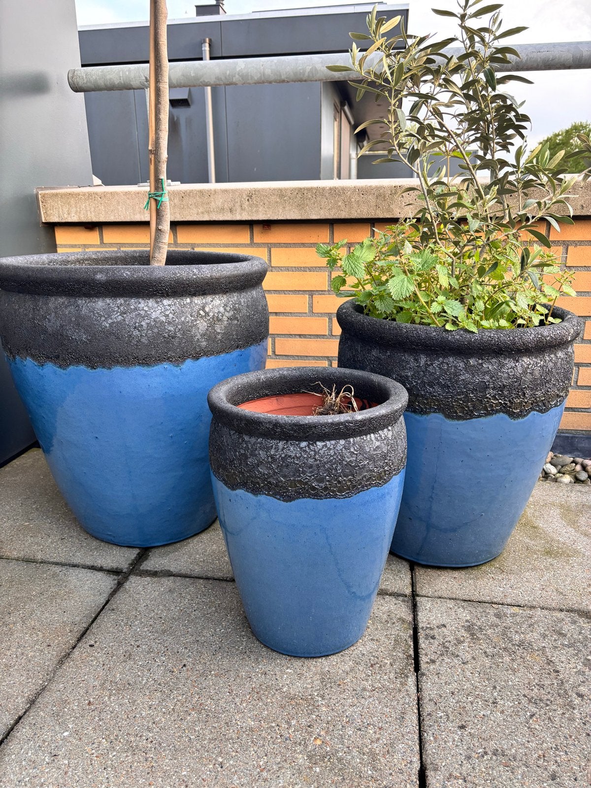 Bloempotten ser, Turqoise  Nieuwe Antique 2Tone Barriga High, Overige materialen, Rond, Nieuw, Ophalen of Verzenden