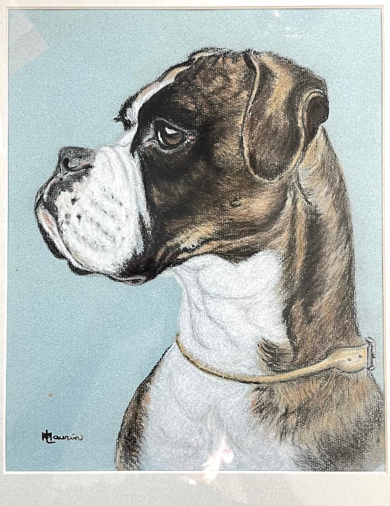 Originele Goauche Bozer Bulldog Hond Krijt tekening, Ophalen of Verzenden, Tekening, Krijttekening, Handgemaakt