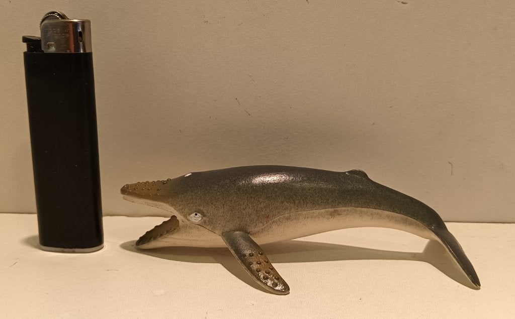3 Zeedieren!, Ophalen of Verzenden, Zo goed als nieuw