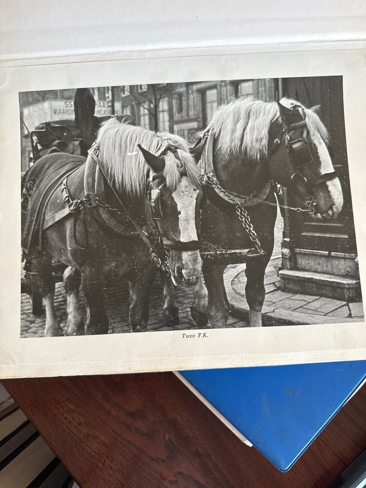 60 Oude afdrukken van Rotterdam van voor de oorlog, Antiek en Kunst, Kunst | Tekeningen en Foto's, Ophalen of Verzenden, Print