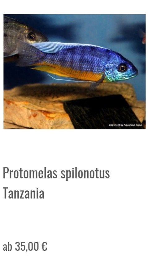 Malawi, Vis