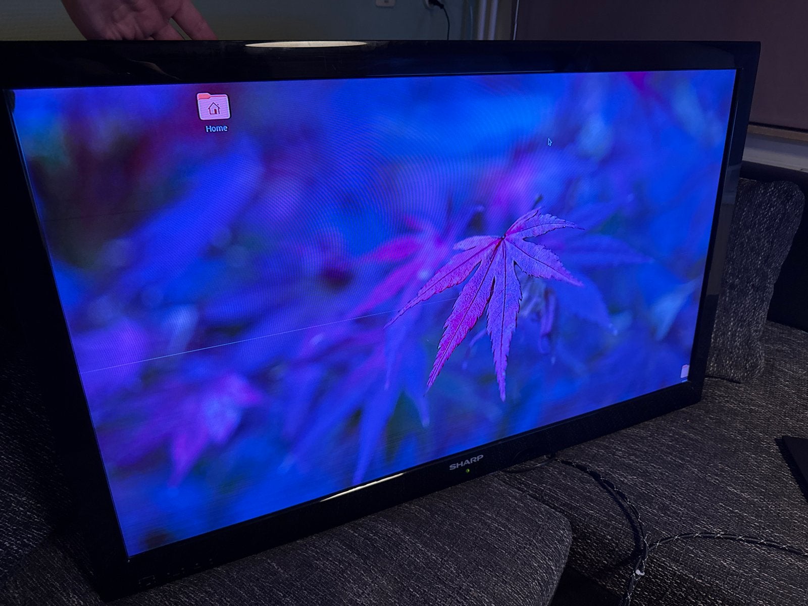 Gebruikte Sharp TV met pixeldefecten, Gebruikt, 50 Hz, Ophalen of Verzenden, 100 cm of meer