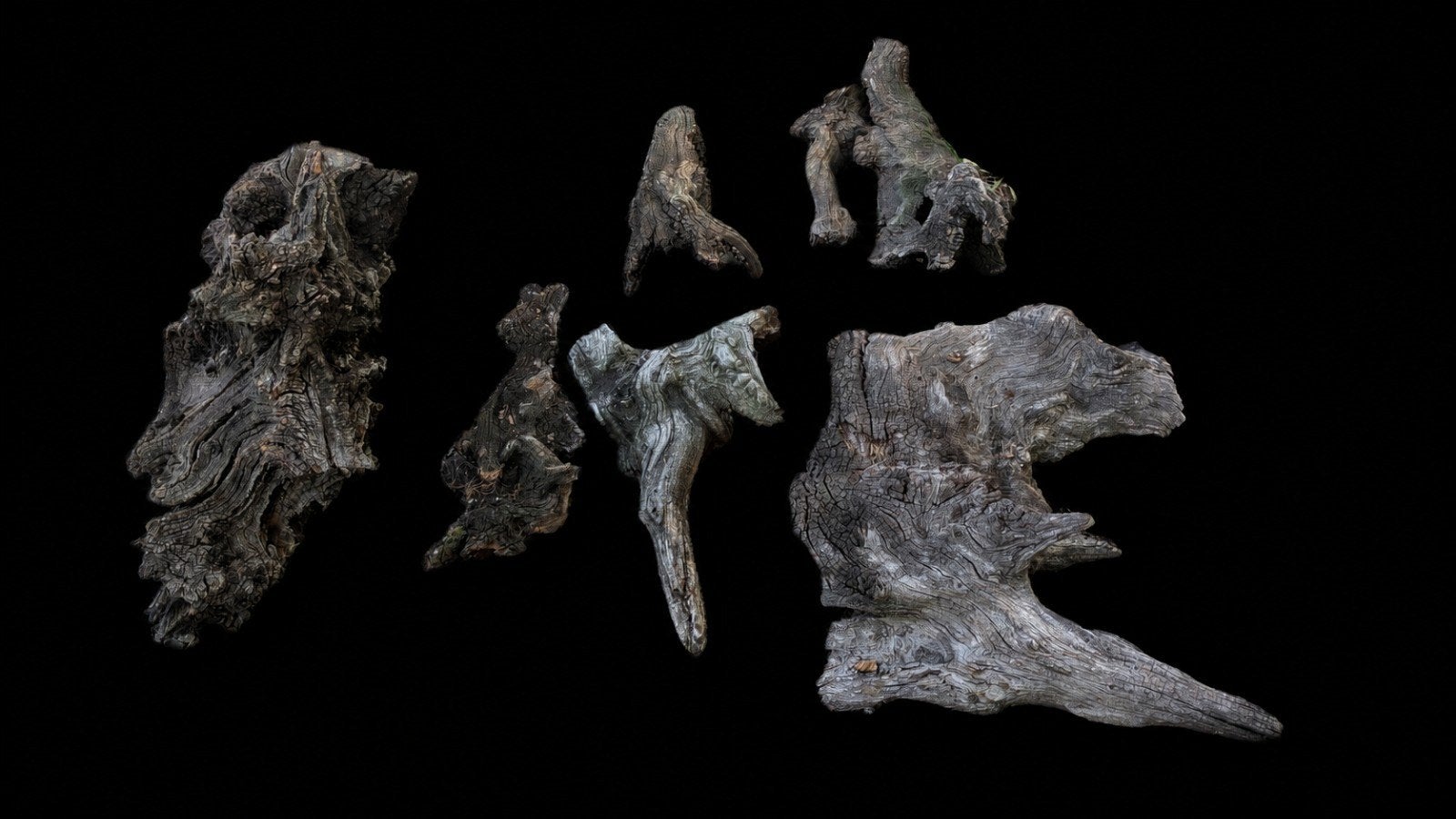 7 Stuks Kienhout / Drijfhout - Diverse Maten driftwood, Tuin en Terras, Ophalen, Gebruikt