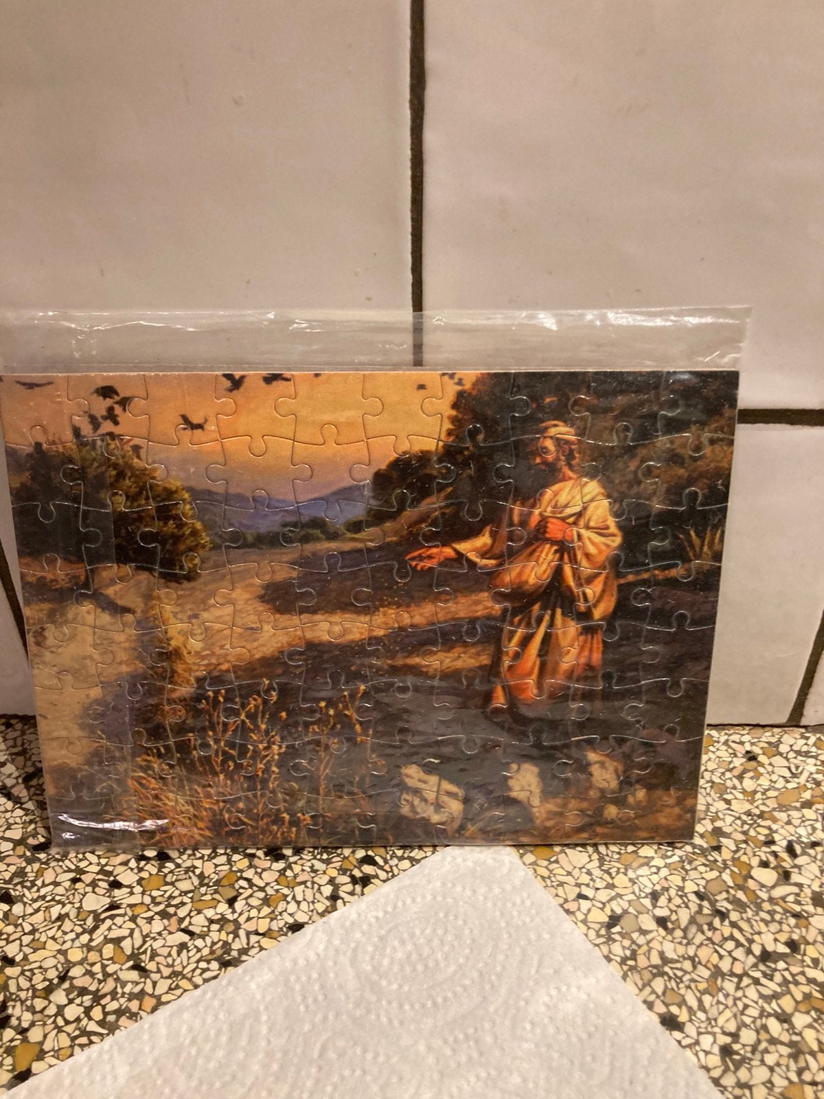 Puzzel zaaier, Ophalen of Verzenden, Minder dan 500 stukjes