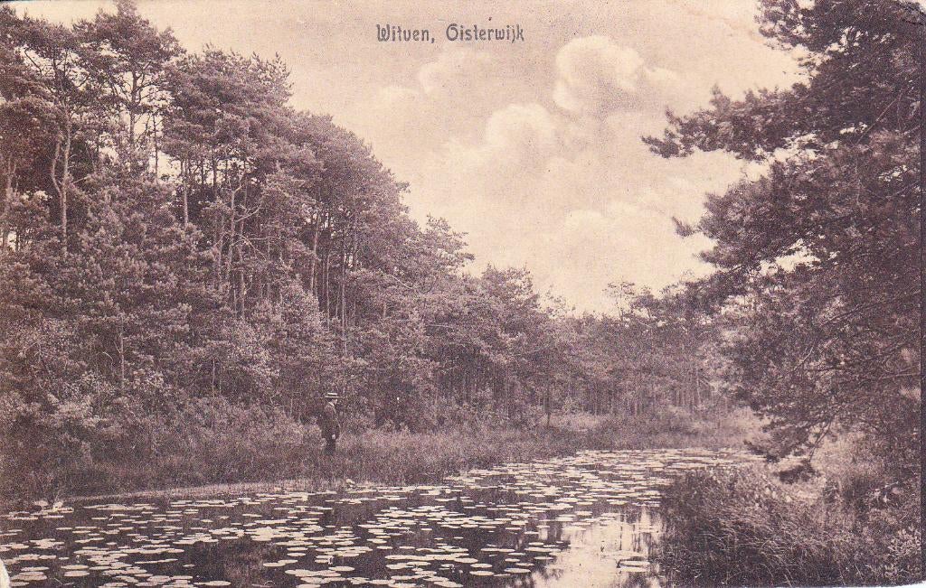 06987 Oisterwijk - Witven, Verzenden, Voor 1920, Gelopen, Noord-Brabant