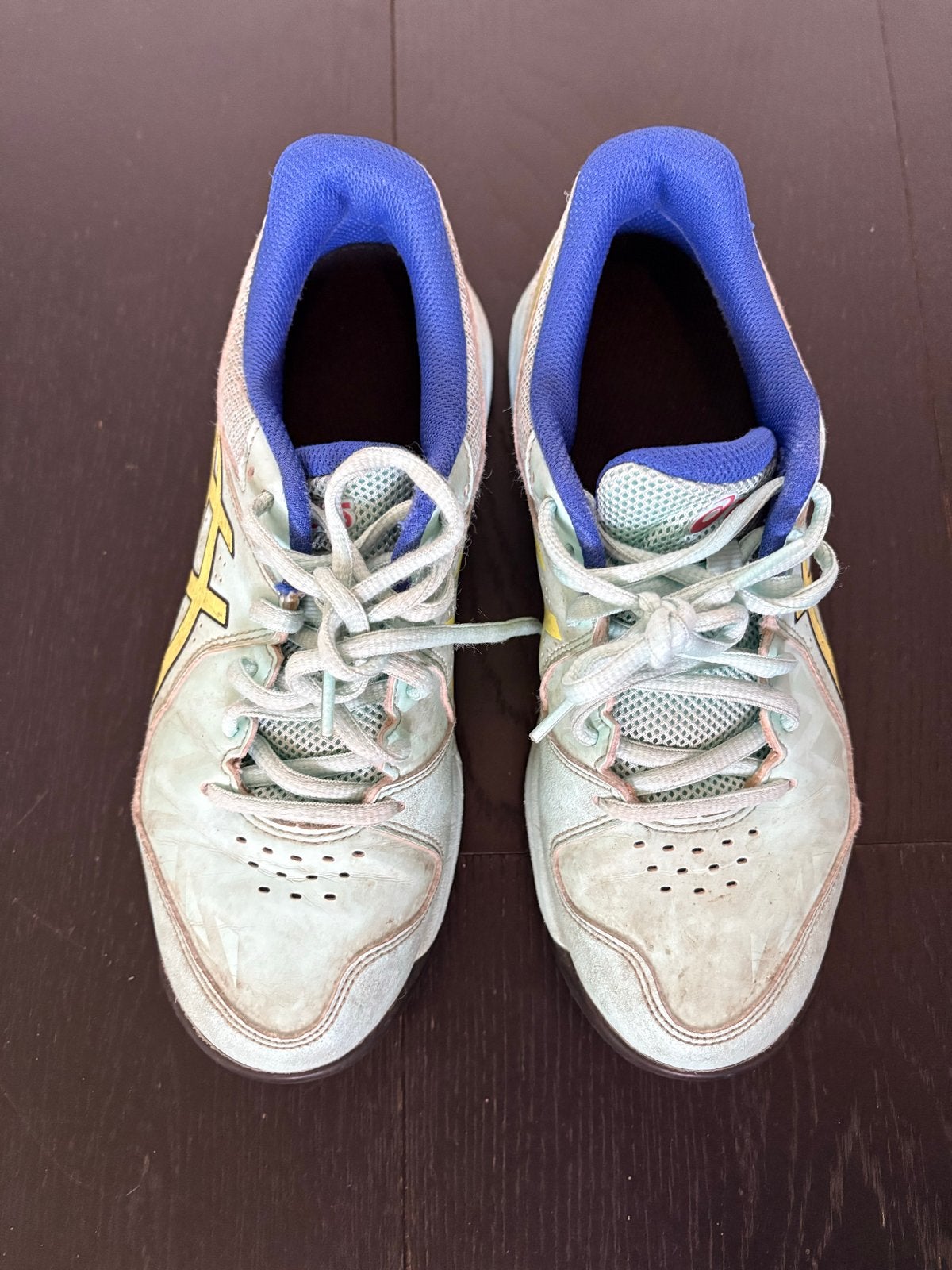 ASICS hockeyschoenen Maat 37.5, Sport en Fitness, Hockey, Ophalen of Verzenden