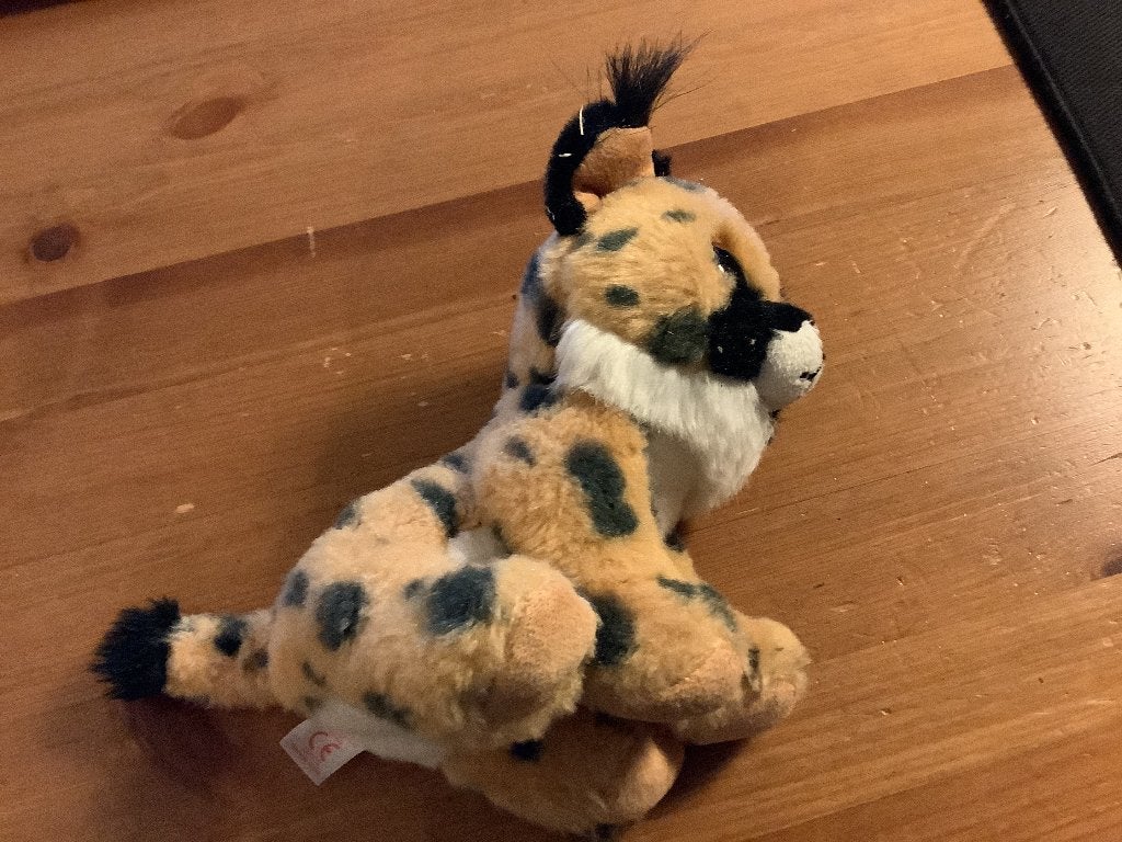 TY Beanie Baby Larry The Lynx 15cm 2017, Ophalen of Verzenden, Gebruikt, Overige typen, Ty