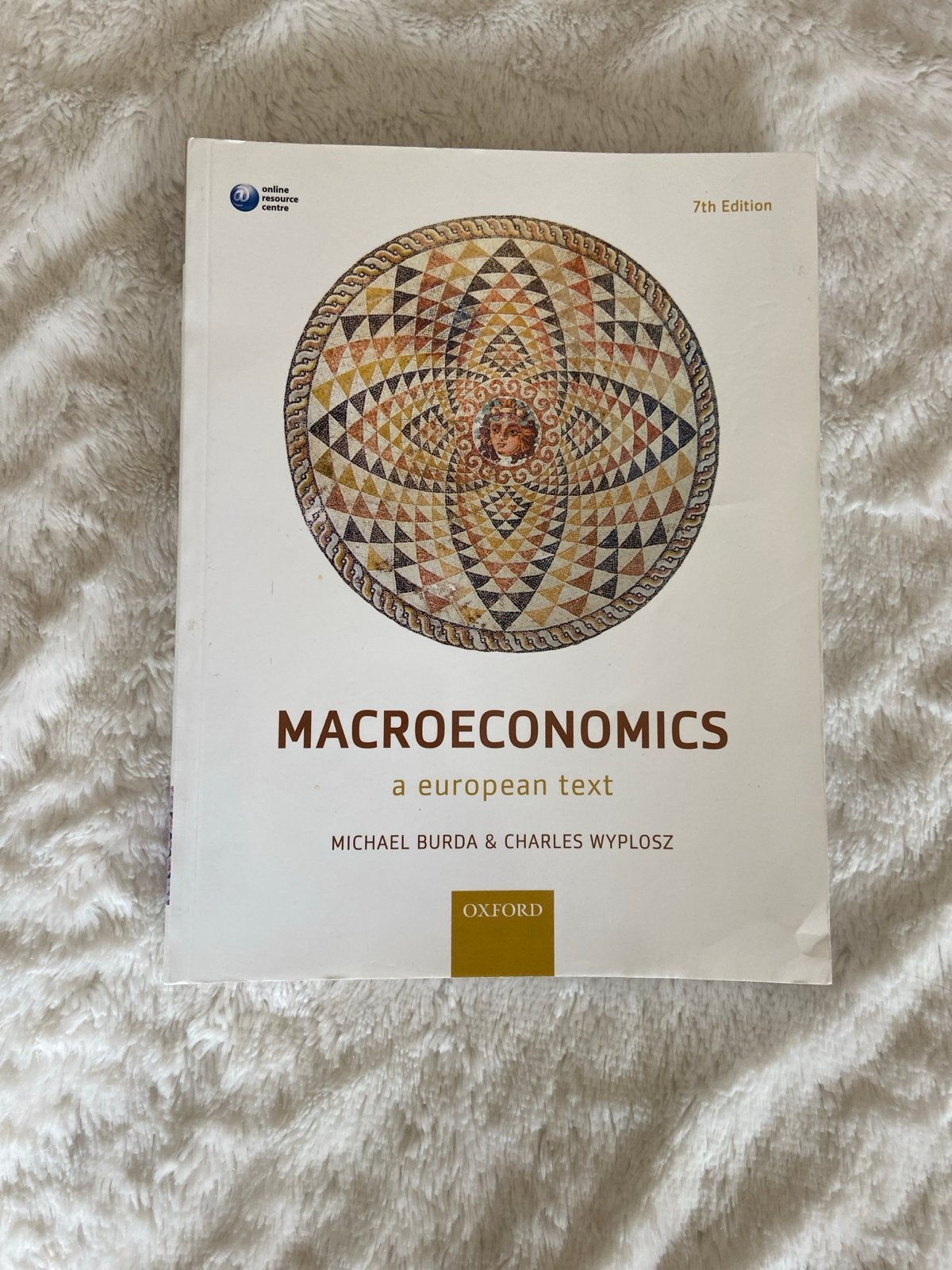 Macroeconomics: A European Text - Burda & Wyplosz (7e editie, Boeken, Studieboeken en Cursussen, Ophalen of Verzenden, Gamma, Zo goed als nieuw