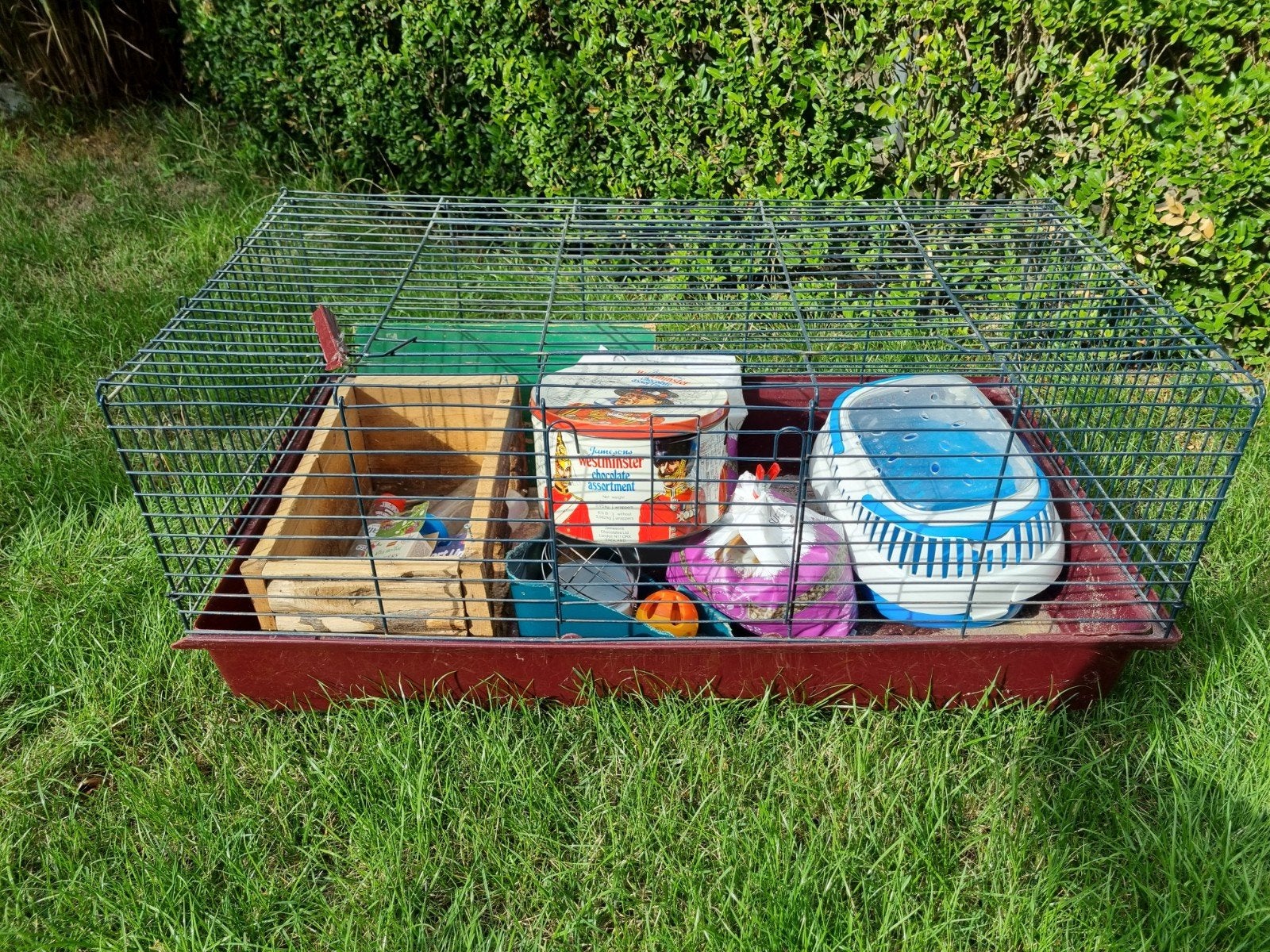 caviakooi met toebehoren, Kooi, Gebruikt, Minder dan 75 cm, Cavia