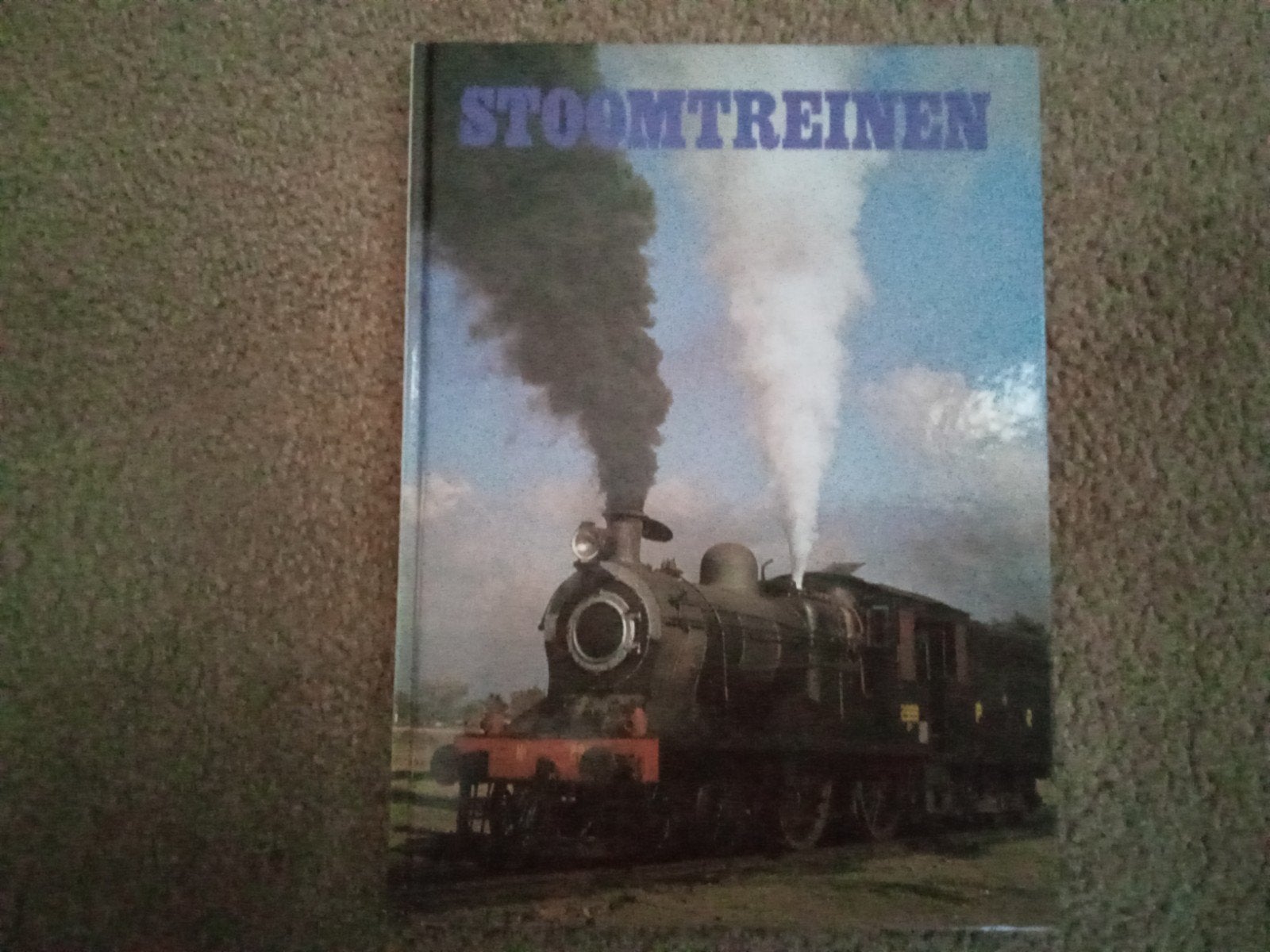 Boeken over treinen, Boeken, Ophalen of Verzenden, Gelezen, Marie-Anne Asselberghs, Trein