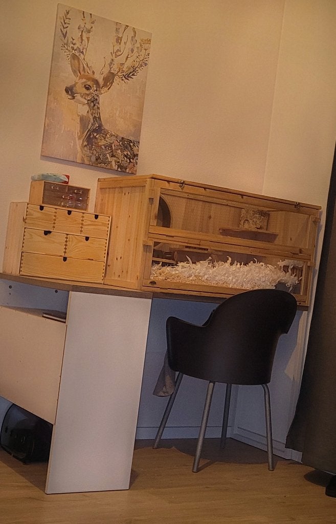 luxe hamster villa 100x50, Ophalen, Zo goed als nieuw, Overige typen