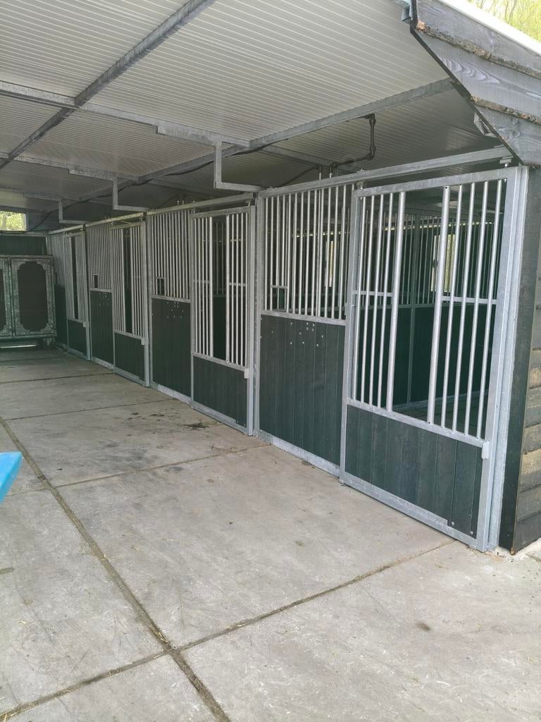 Te huur: 2 buiten boxen, 160 tot 165 cm, Recreatiepaard, 7 tot 10 jaar