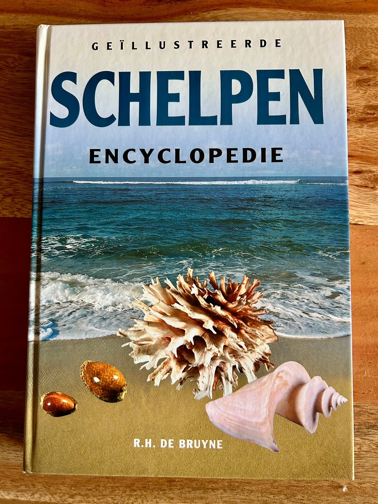 R.H. de Bruyne - Geïllustreerde Schelpen Encyclopedie, R.H. de Bruyne, Ophalen of Verzenden, Zo goed als nieuw, Overige onderwerpen