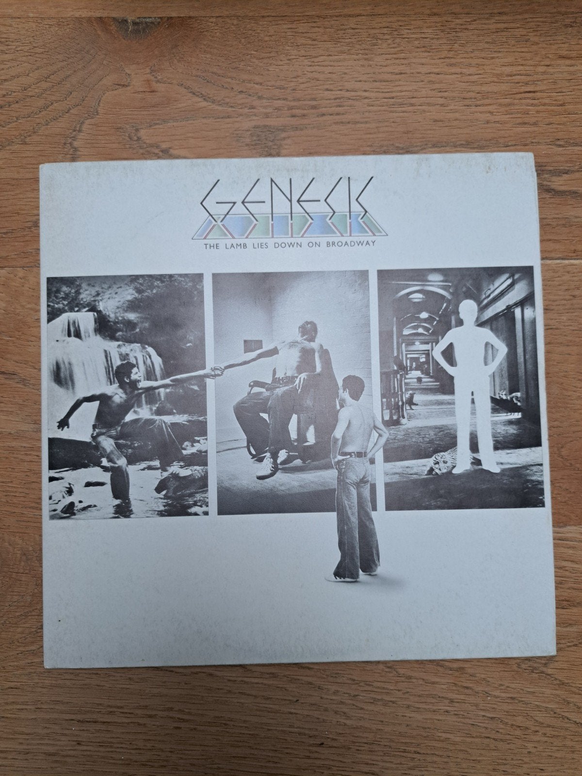 Lp's Genesis, LP, Gebruikt, Pop, Ophalen