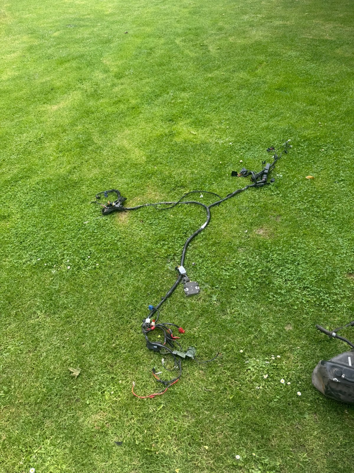 Zip iget e5 kabelboom compleet, Ophalen, Zo goed als nieuw, Overige typen, Piaggio